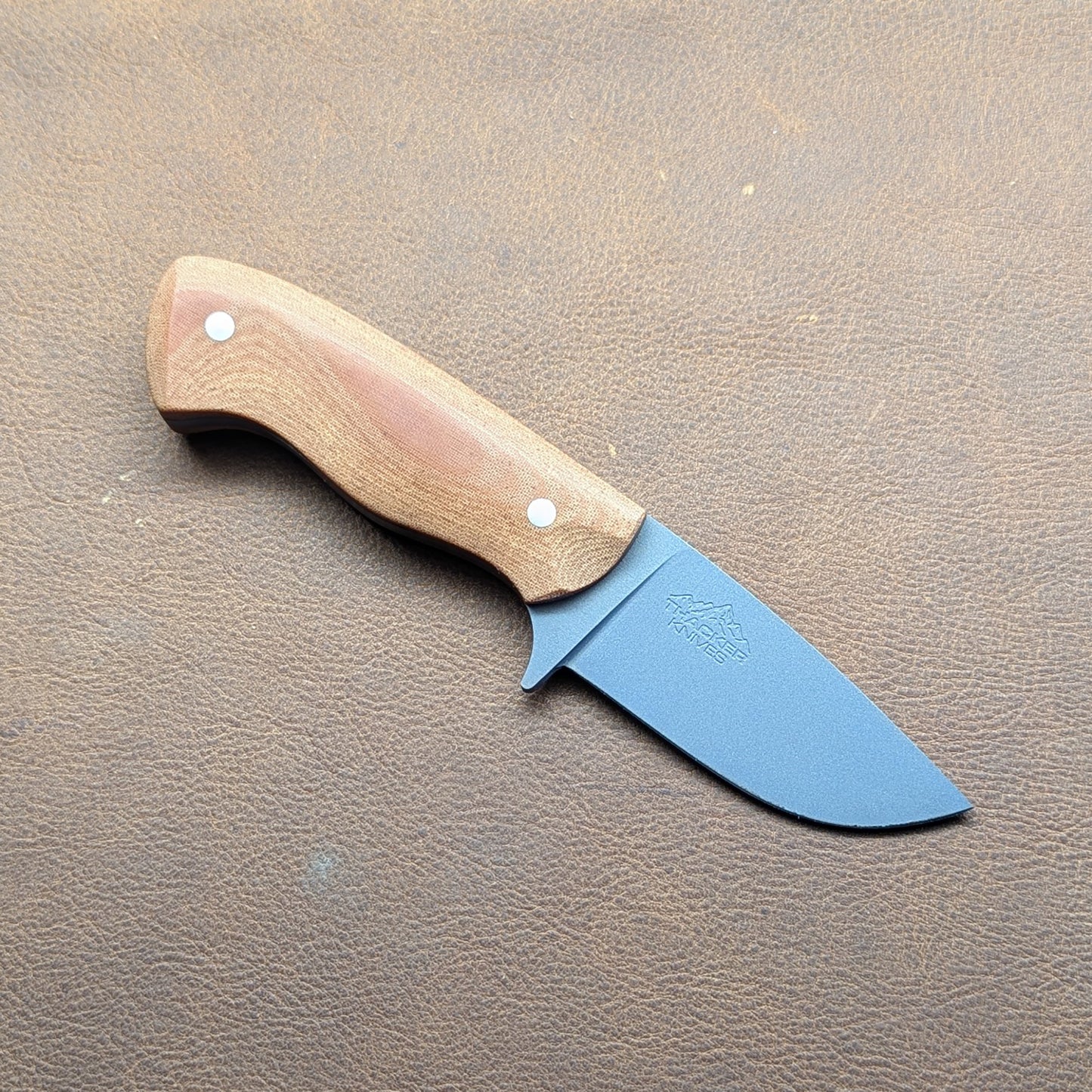 Premier EDC - Northern Lights