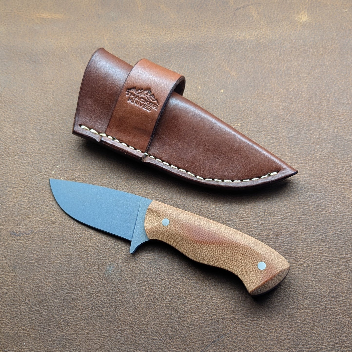 Premier EDC - Northern Lights