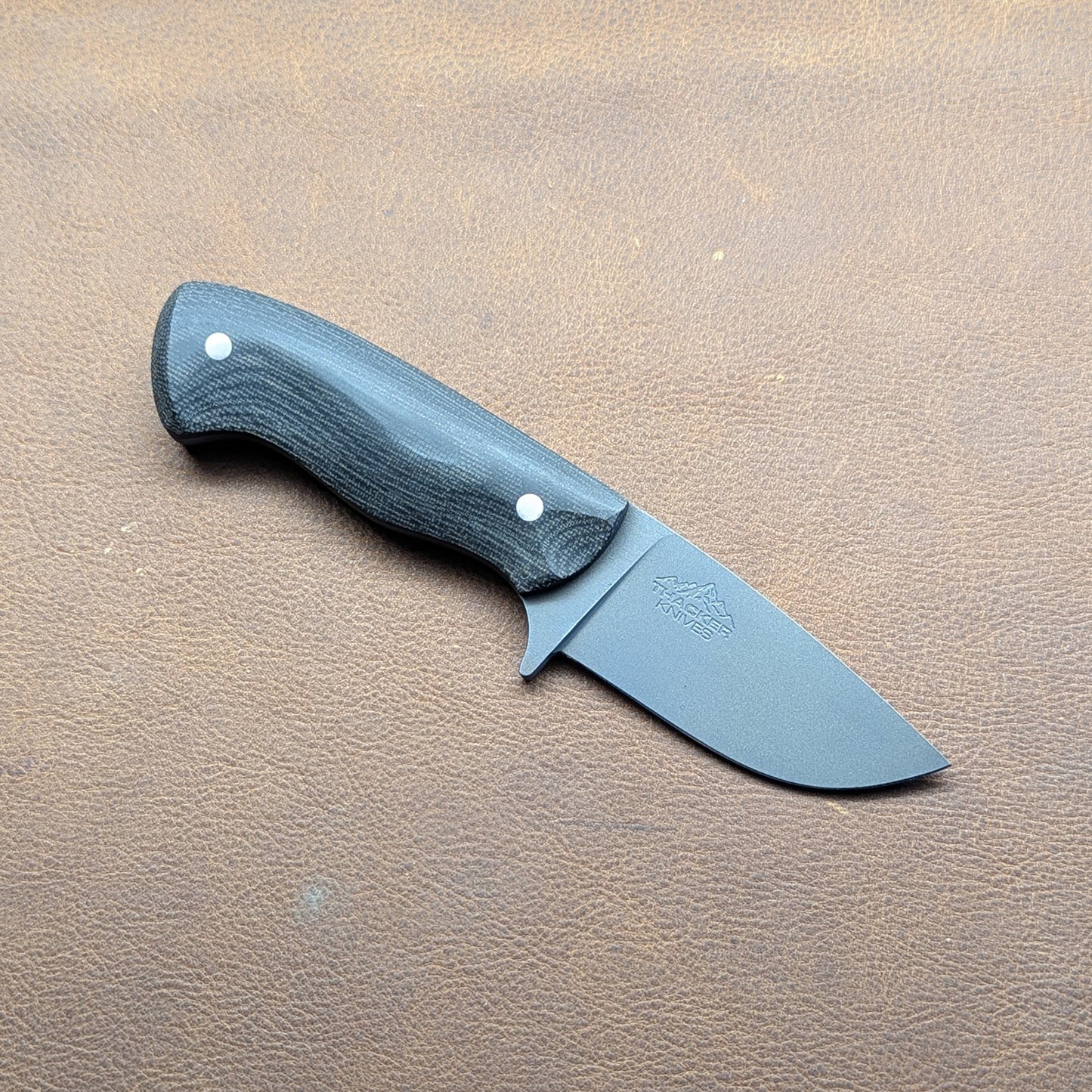 Premier EDC - Northern Lights