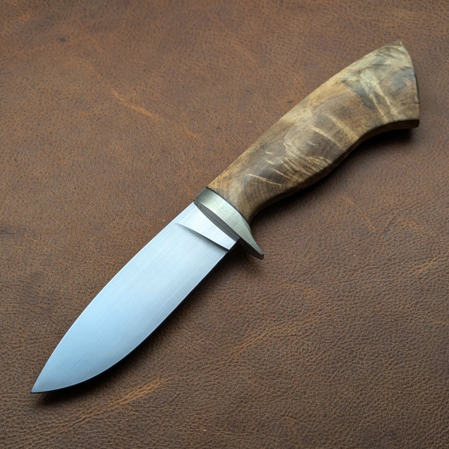 All-Around Hunter (Buckeye)