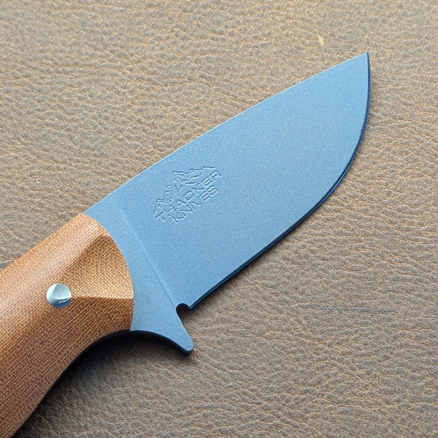 Premier EDC - Northern Lights