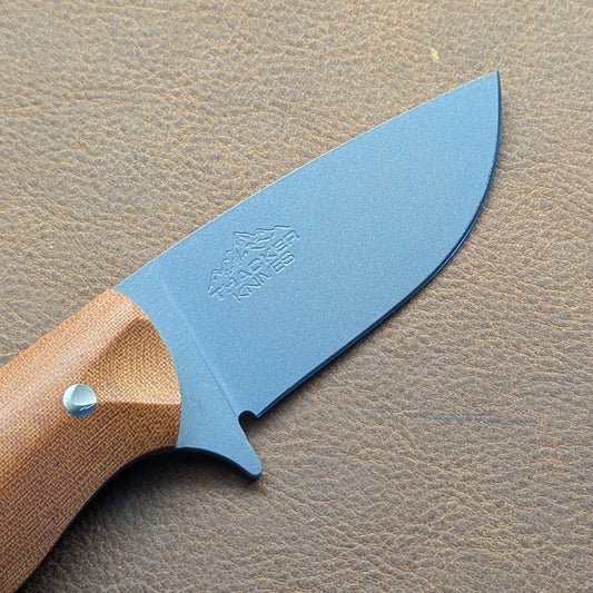 Premier EDC - Northern Lights