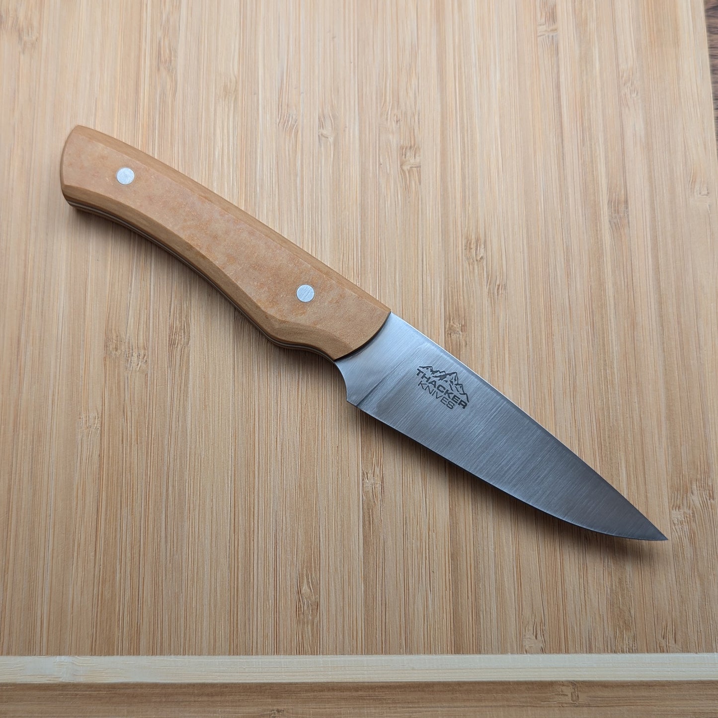 Stainless Paring Knife